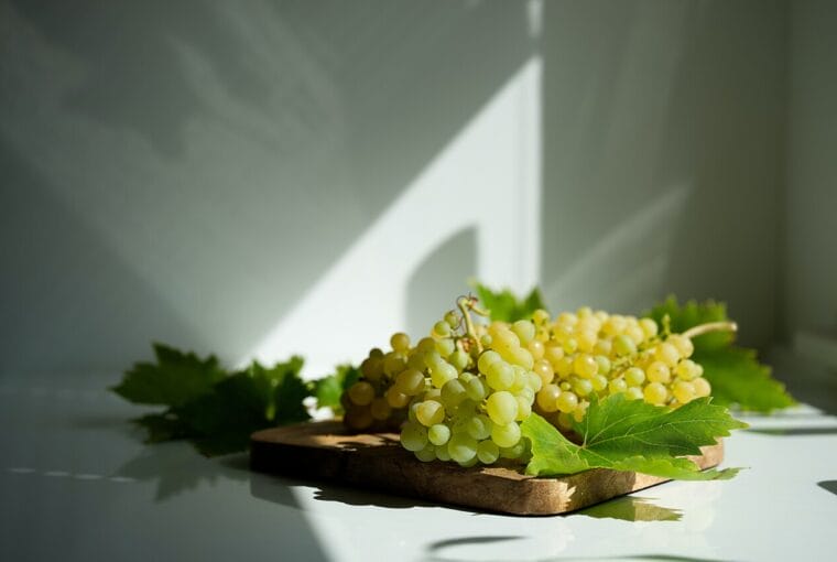 recetas saludables