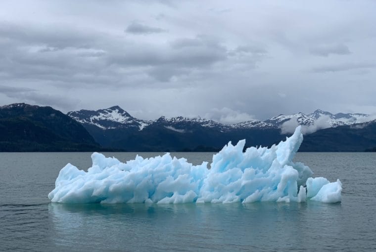 efectos del cambio climático