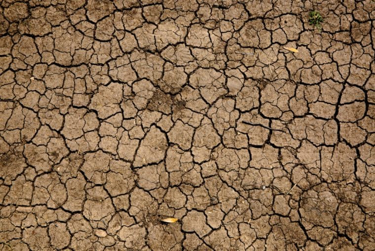 efectos del cambio climático