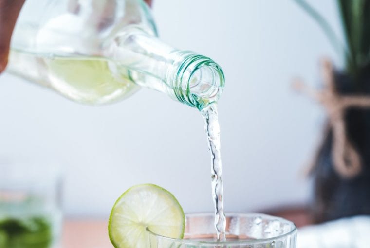 bebidas típicas de veracruz