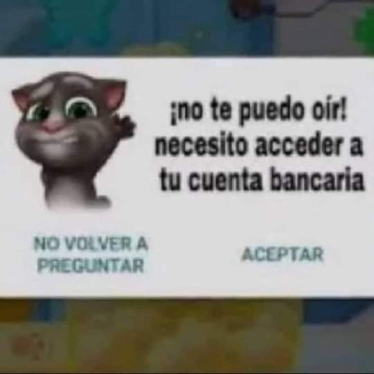memes de gatos