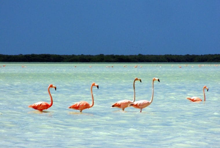 qué visitar en yucatán