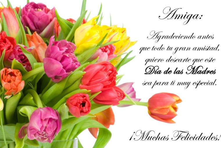 feliz día de las madres