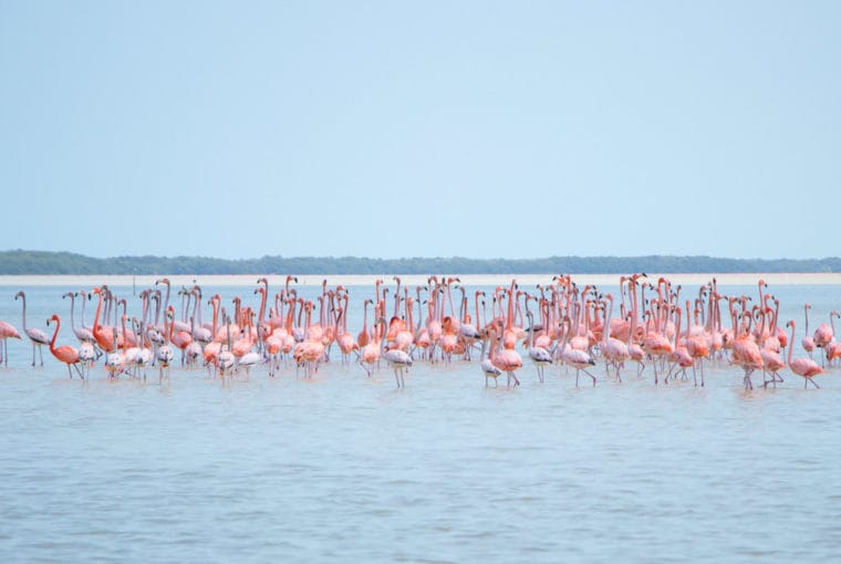qué visitar en yucatán