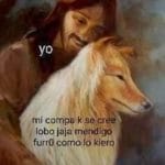 memes de lobos
