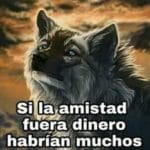 memes de lobos