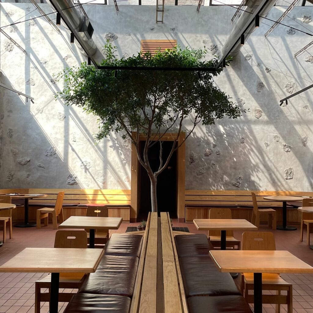 restaurantes en cdmx