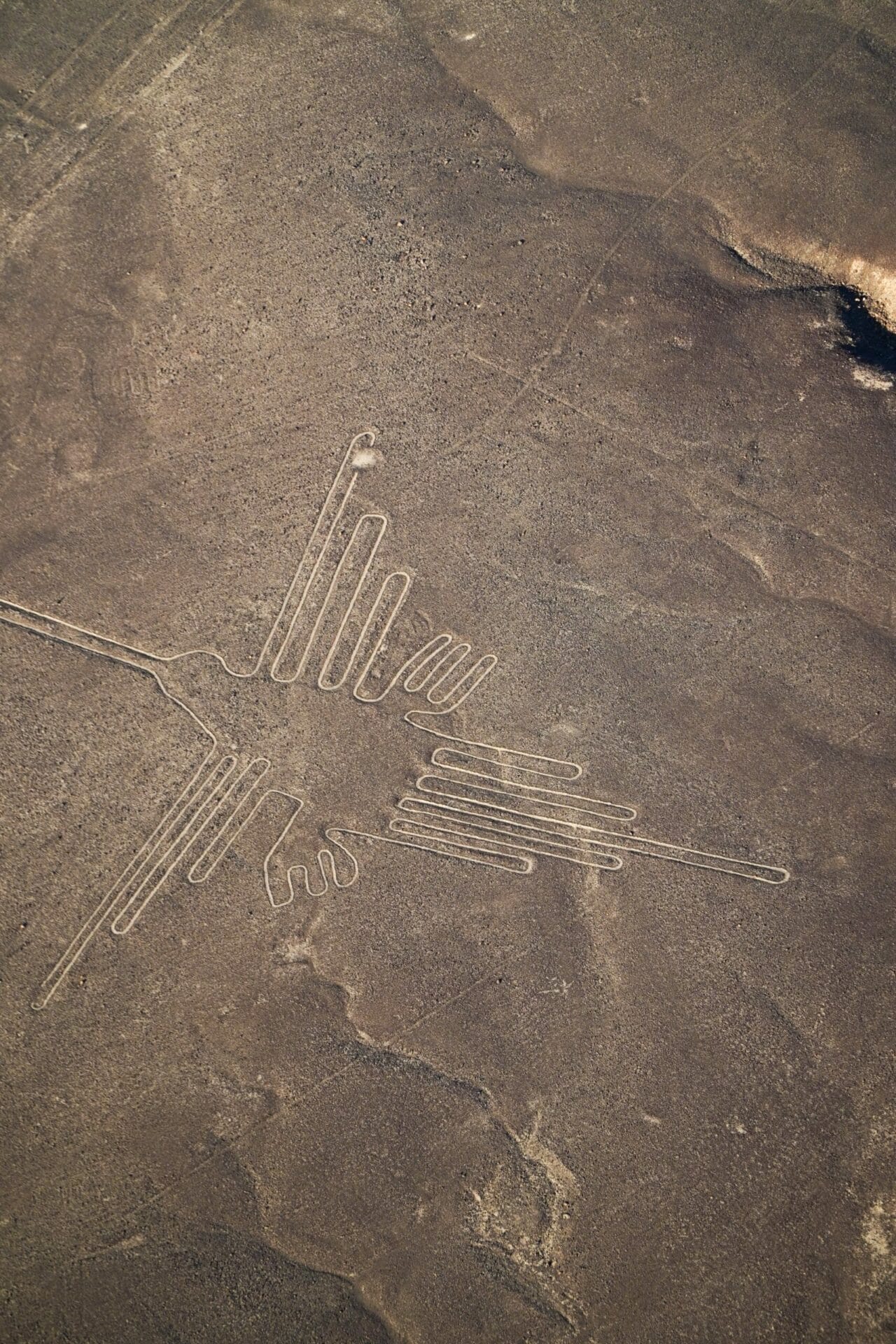 lineas de nazca
