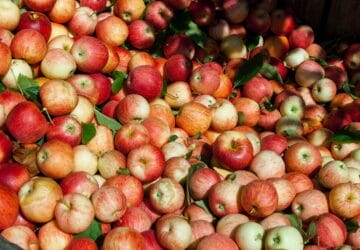 beneficios de la manzana