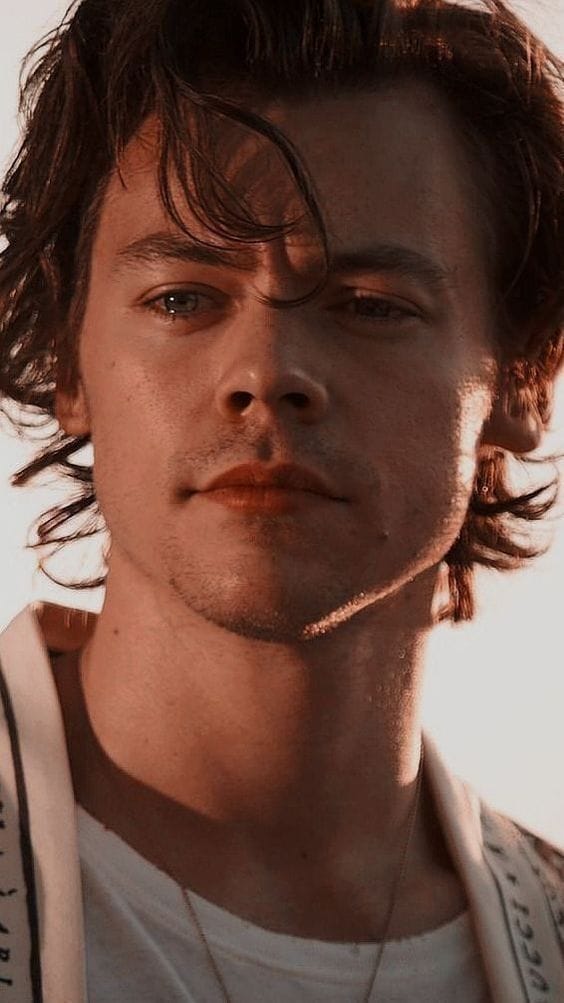 A sus 29 años, Harry Styles ha logrado crear no sólo una sólida carrera como cantante, sino que también el abrirse paso dentro del mundo del cine.